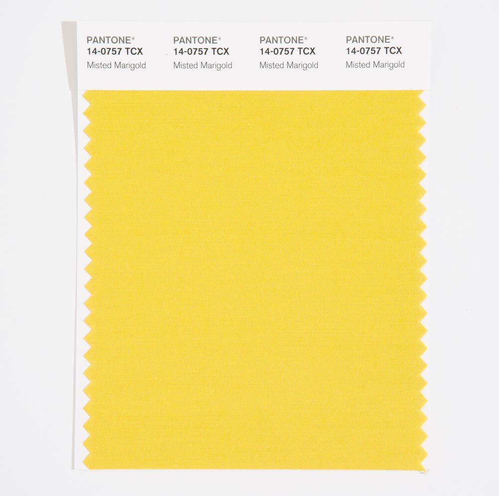 Amazon.com: Pantone Cotton Swatch Card Color Standard, Color